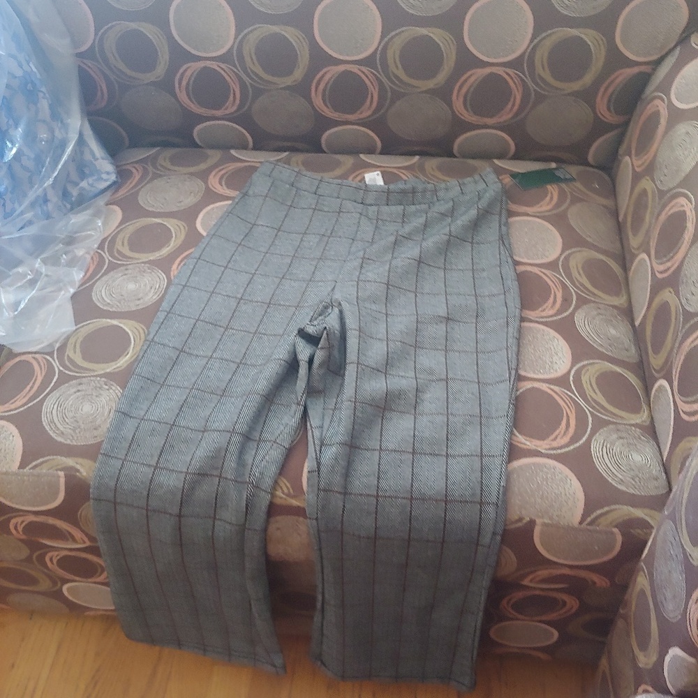 Dress pants